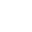 option-icon