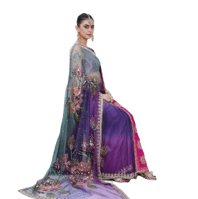 Indian Sharee