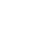 option-icon